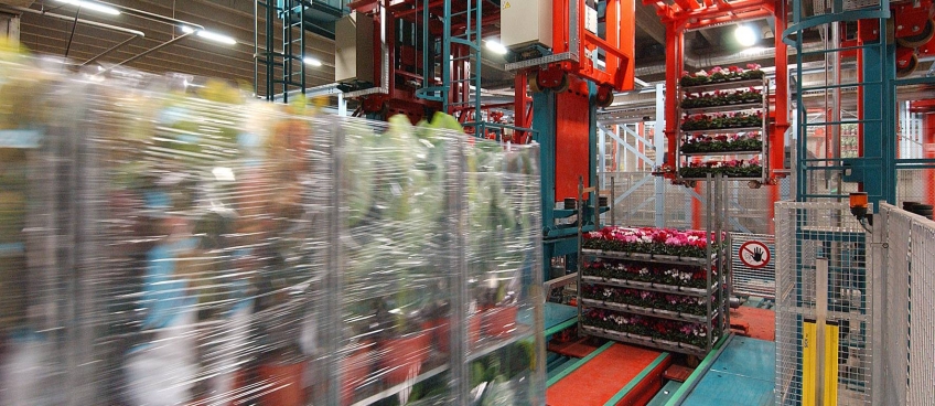 FloraHolland Aalsmeer FloraHolland Aalsmeer